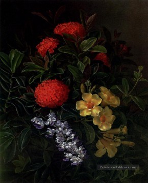 Johan Laurentz Jensen œuvres - Allemanda Ixora et les orchidées Johan Laurentz Jensen fleur